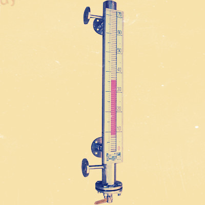 UDZ-3D插入型磁浮球液位计